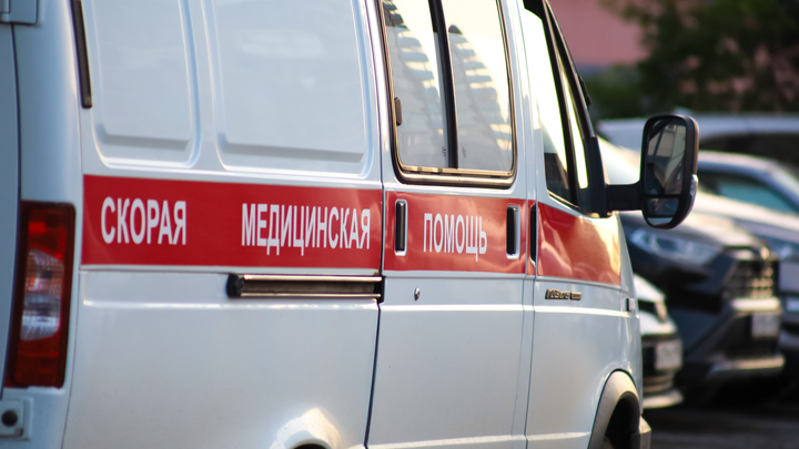 Тувинца госпитализировали с подозрением на сибирскую язву