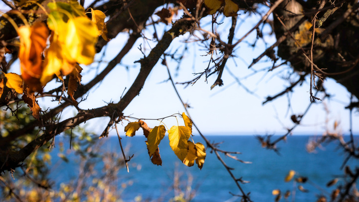 Одессу брать будете? Серьёзный малыш скажет своё слово