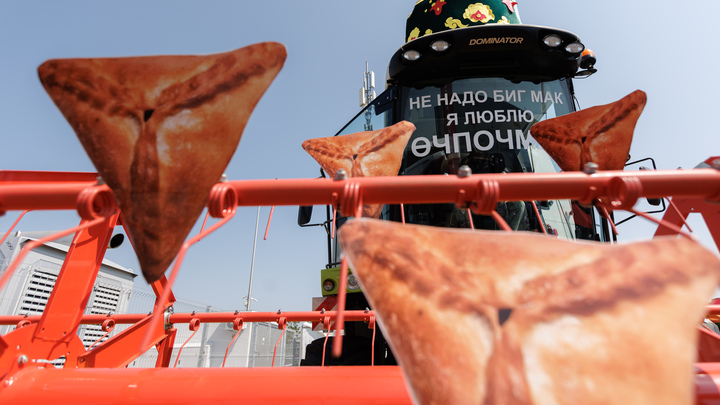 Где в России попробовать самые вкусные блюда: От удивительного борща до необычной выпечки. Топ-10 регионов для гастротуризма