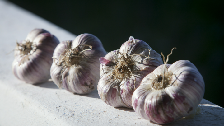 Диетолог: чеснок не лечит простуду, а в больших дозах может навредить