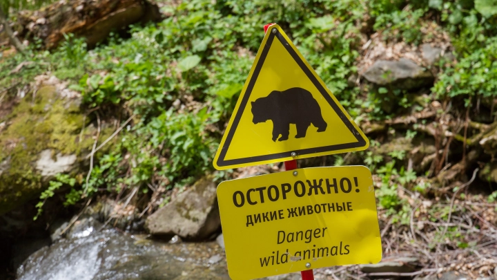 Сын Ирины Усольцевой выдал: Вот почему с семьёй под Красноярском явно случилось что-то нехорошее