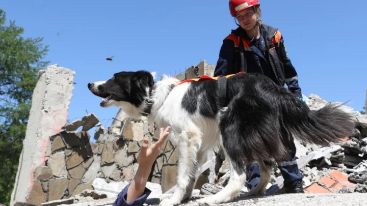 Взрыв под Рязанью: Под обломками найдено ещё одно тело – Жертв 25