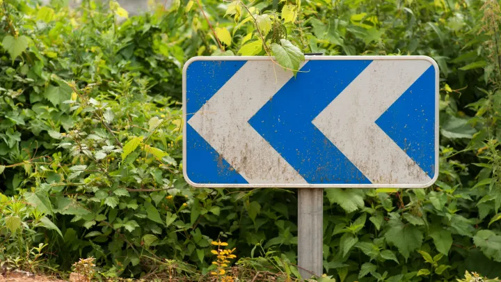 Редкая модель Subaru простояла под деревом 10 лет, став приютом для грызунов