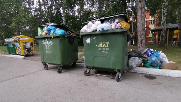 В Новосибирске требуют признать банкротом компанию по перевозке мусора