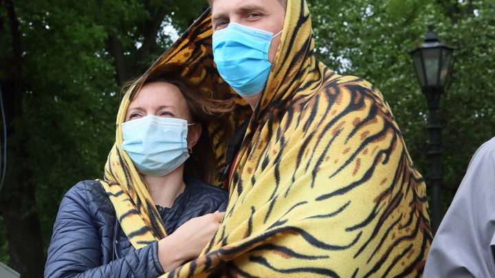 Коронавирус во Владимирской области, новости на 2 октября: еще 44 заболевших