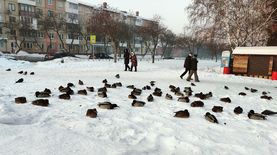 До 3 градусов