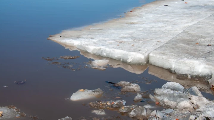 Ушли гулять в марте, не вернулись: В Удмуртии обнаружены тела пропавших детей