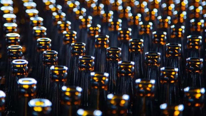 Польские алкоголики получат от государства ежемесячные пособия до 533 долларов