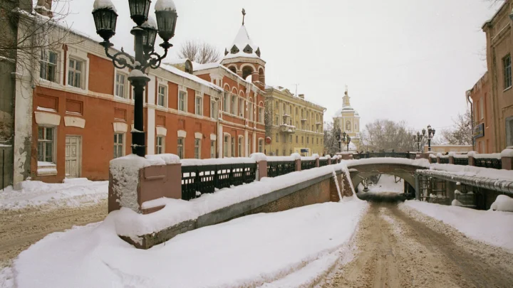 Чиновница из Воронежа с сумкой за полмиллиона обвинила горожан в токсичности