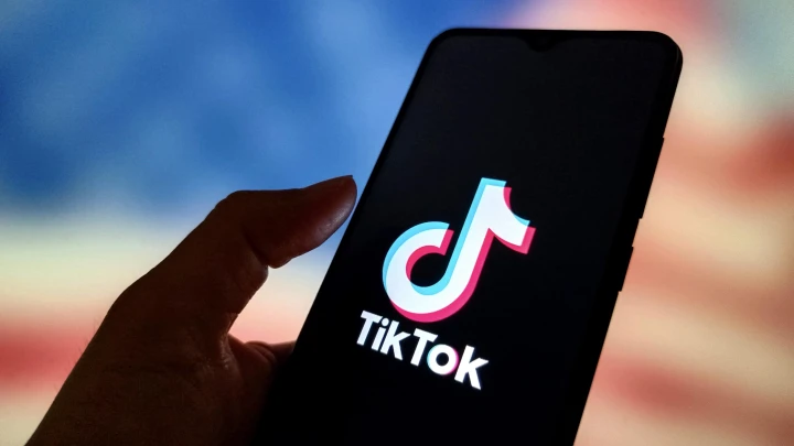 В TikTok появился скандальный челлендж с туалетными ершиками