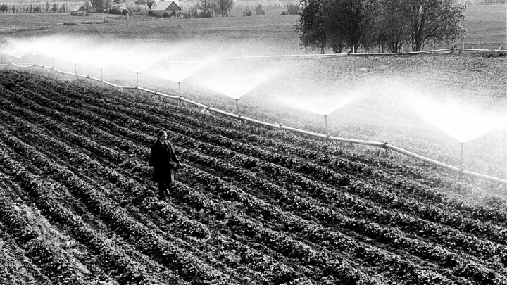 Стыдно и точка. Россия задумалась о введении главных контрсанкций