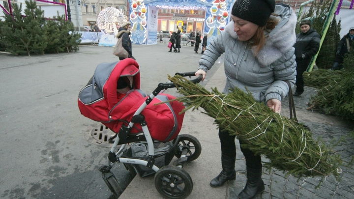 Новогодние елки в Москве подорожают в два раза и станут дефицитом