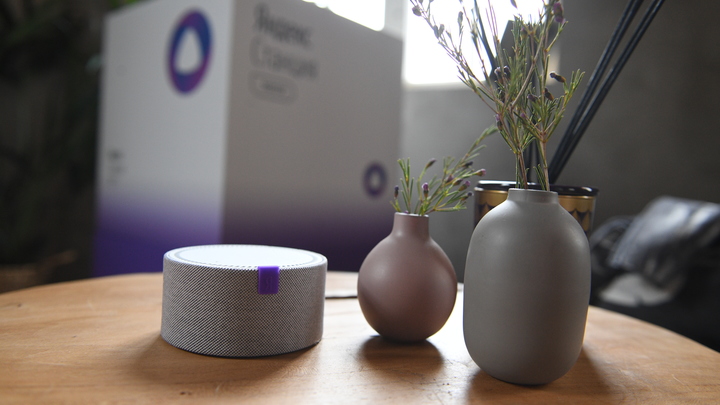 Медведев раскритиковал нейросеть Яндекса из-за ответов про памятники Бандере