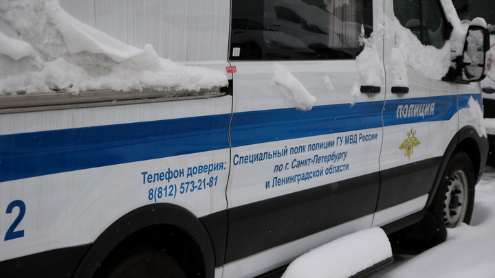 В Петербурге продажа поддельных турпутёвок на миллион стала десятком уголовных дел