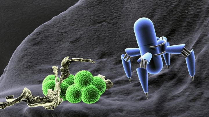 Размером с микроб, управляются лазером: В США создали армию из миллиона микроботов