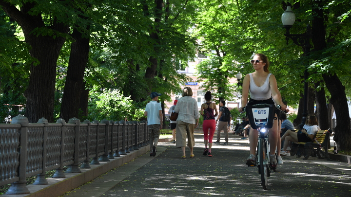 Во Владимире появится 7 километров велодорожек