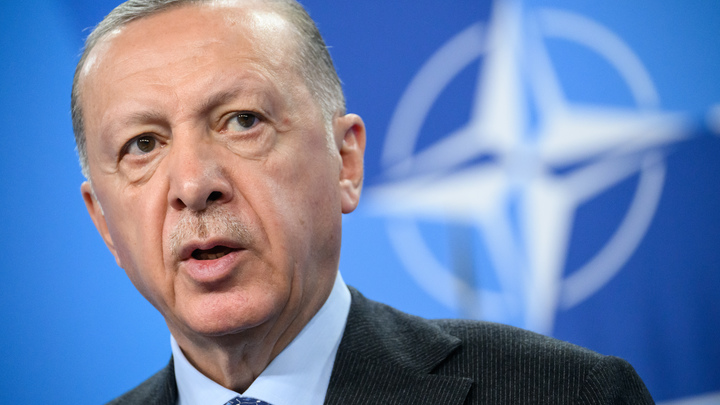 Турция получила всё, что теоретически могла: Эксперт о меморандуме с Швецией и Финляндией