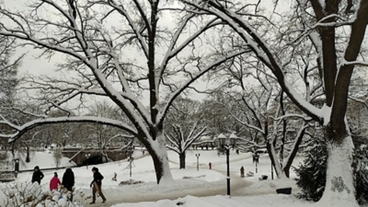 Латвия готовит к изгнанию тысячу граждан России