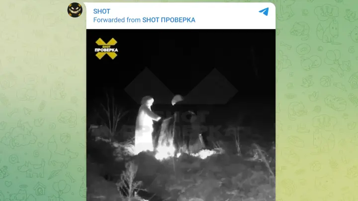 Маги в колпаках ломают саженцы и устраивают ритуалы в рязанском лесу