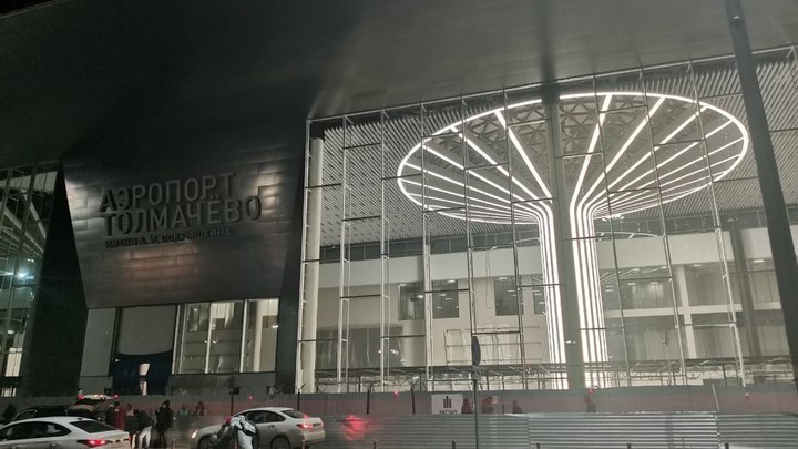 Чёрную жемчужину заметили в аэропорту Новосибирска