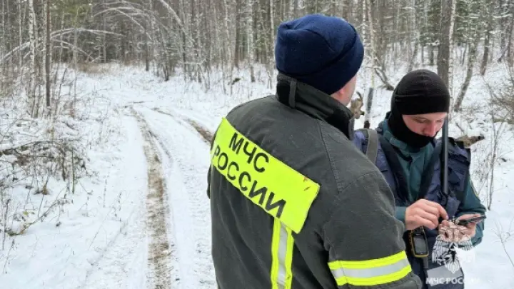 СК: по делу Усольцевых назначены генетические экспертизы