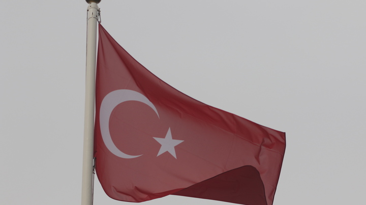 В Турции зафиксировали заражение человека ящуром