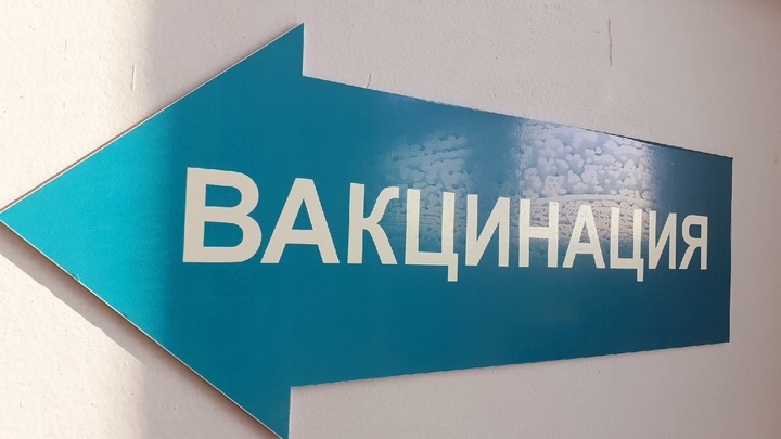 В Нижегородской области не возбуждено ни одного дела по факту фальшивых документов о вакцинации