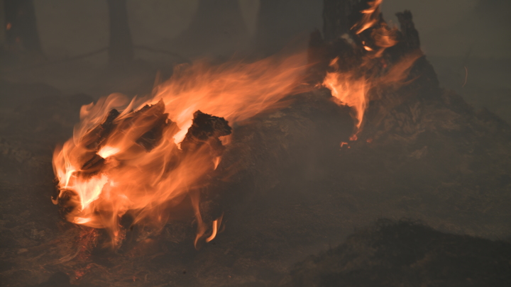 В Краснодарском крае до 19 июля сохранится высокая пожароопасность