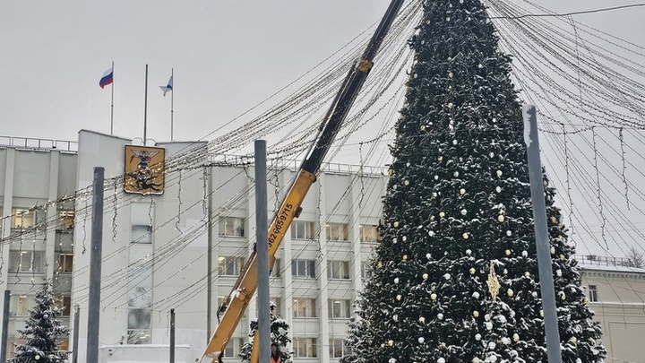В Архангельске  местные Гринчи атаковали главную елку