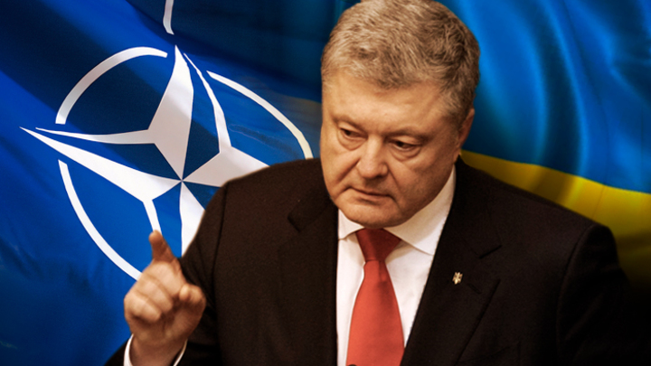 Украинский плацдарм для НАТО: Появятся ли рядом с Новороссией американские военные базы