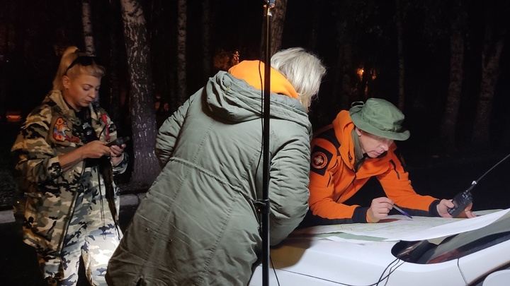 В Новосибирской области завершили поиски пропавшей в лесу пенсионерки