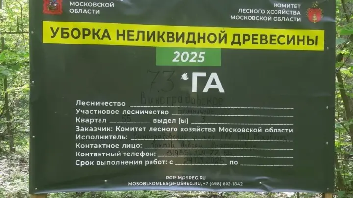 На территории Раменского округа ведутся работы по уборке неликвидной древесины