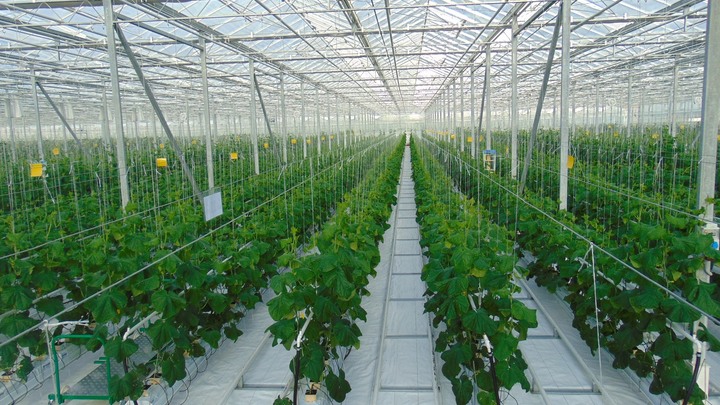 Через владимирскую таможню провезли несколько миллиардов хищных клещей