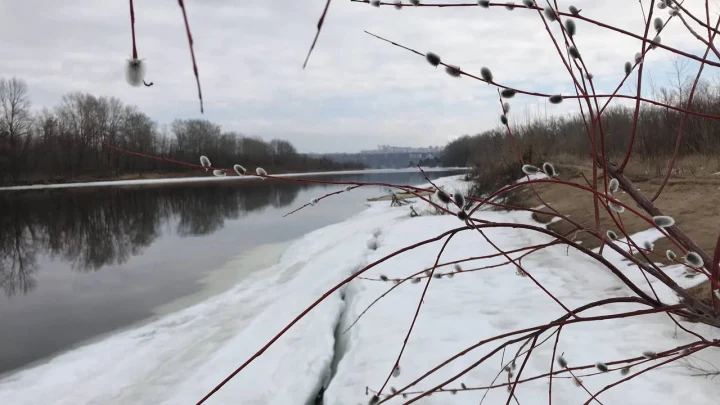 Эколог Рыбальченко пообещал весной аквапарк на улицах в Центральной России