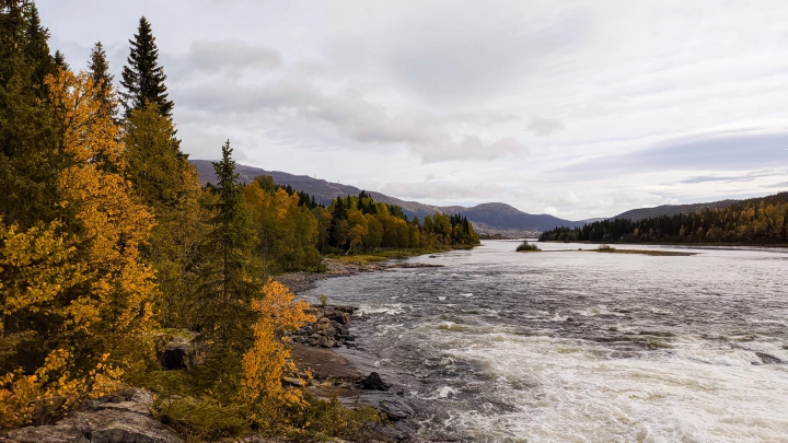 Миллиарды для Узбекистана, проблемы - для России: Сколько стоит повернуть реки вспять?