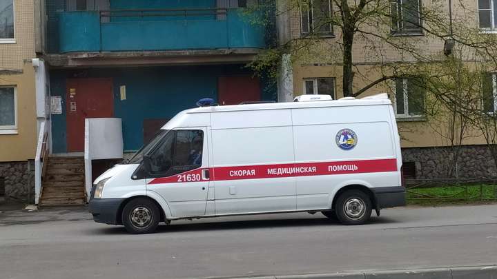 В Петербурге злостный нарушитель ПДД отправил 9-летнюю девочку в больницу с тяжёлыми травмами