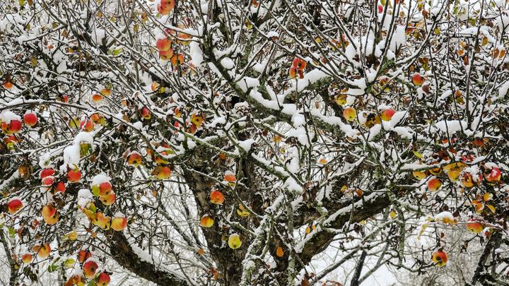 Россия уже давно не нуждается: Поляки неожиданно поддержали позицию русских по контрсанкциям