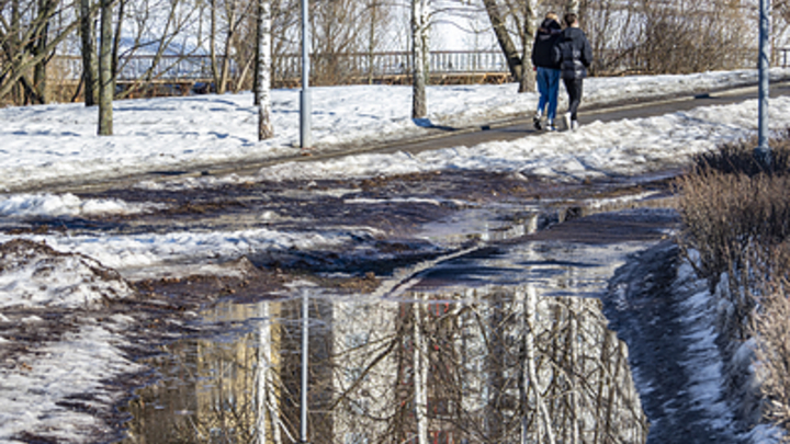 Народные приметы на 30 марта: что можно и нельзя делать в день Алексея Тёплого