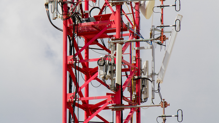 Путин объяснил, как отличить информационный мусор от знания