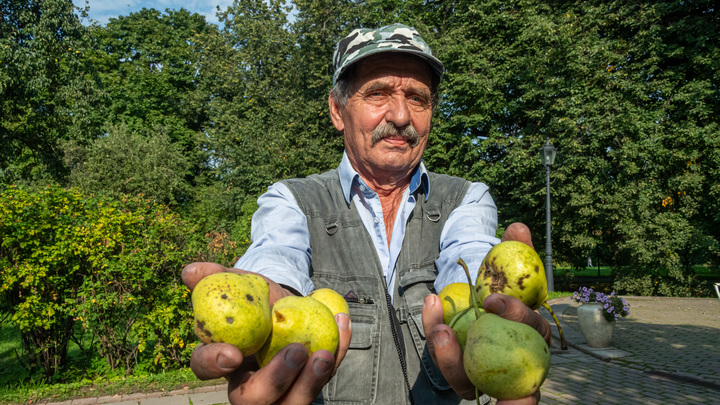Снимите кожуру: Пенсионеров предостерегли от злоупотребления популярным фруктом