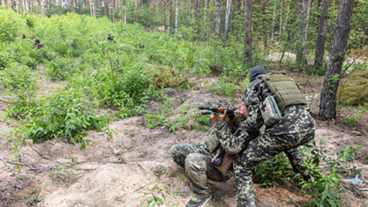 ВСУ получили отпор после обстрела Васильевки в Запорожье