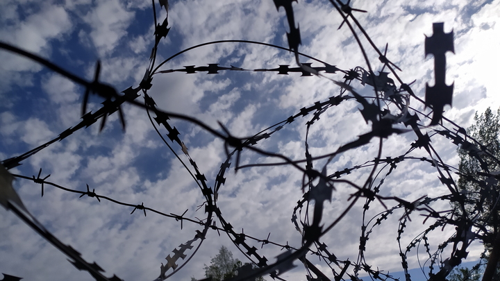 Мигрант в Ленобласти совращал 12-летних девочек - источник