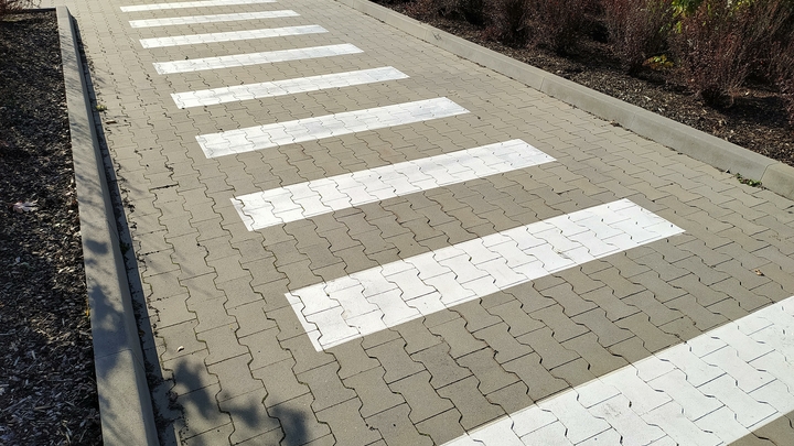 В Новосибирске дети нарисовали мелом зебру на улице без перехода