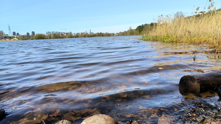 Жители Екатеринбурга рискуют остаться без воды из-за обмеления водохранилища