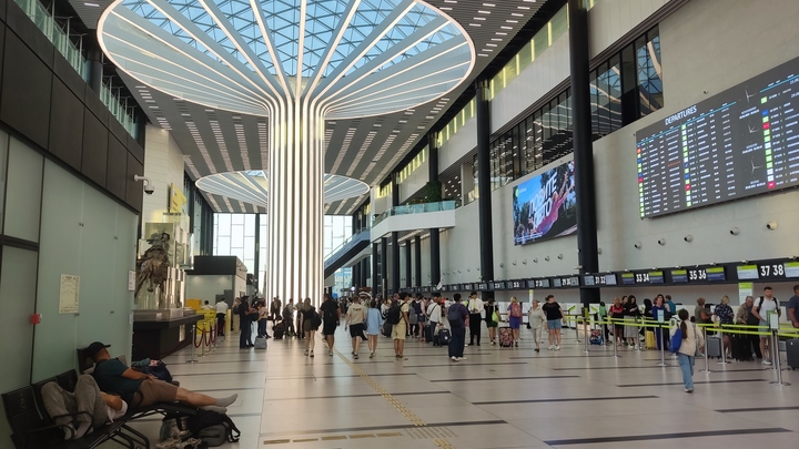 В Толмачёво собака Баяра не дала иностранцу вывезти за границу 1,8 млн рублей