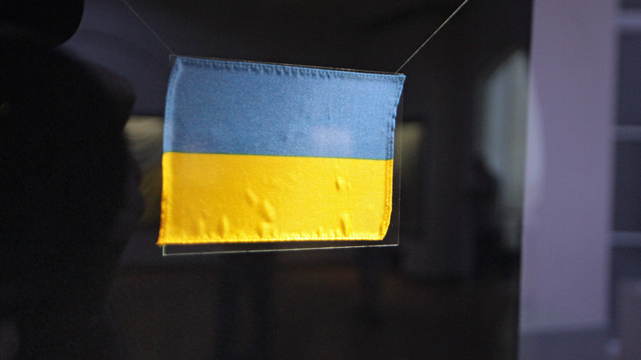 Показательная истерика Киева: Украина вас ненавидит