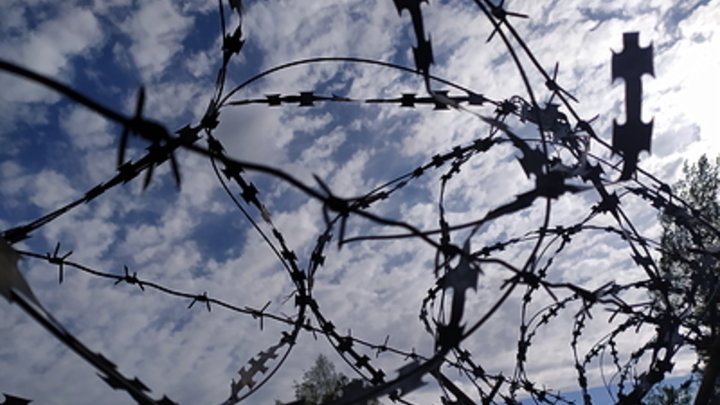 Русские взяли в плен 81-ю бригаду ВСУ. И ещё десяток боевиков сверху