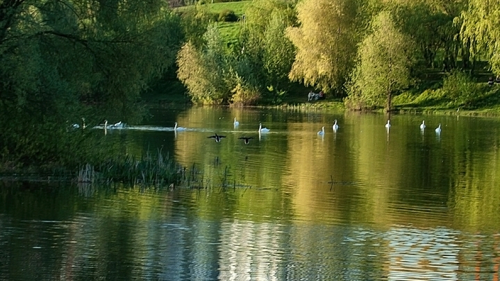 В Абрау-Дюрсо вдоль озера построят набережную