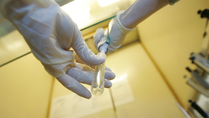 Уборщик подставил учёных, одним движением уничтожив результаты 25-летней работы