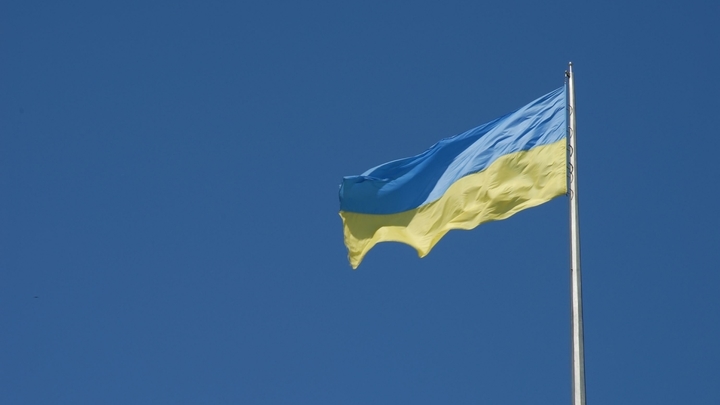 Лидируют Зеленый человечек и Шоколадный заяц: В Сети опубликовали первые данные экзитполов по выборам на Украине